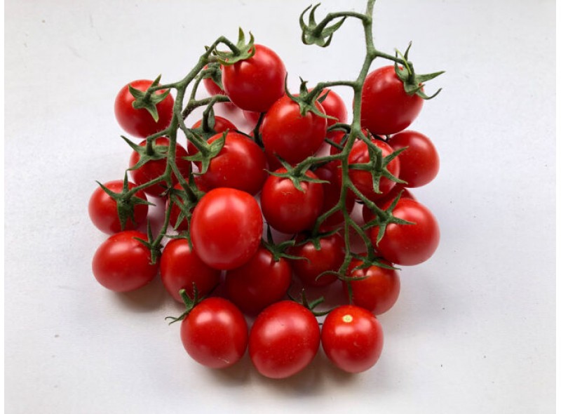Семена детерминантного томата Дредд F1 ранний, (500 семян.) Lark Seeds
